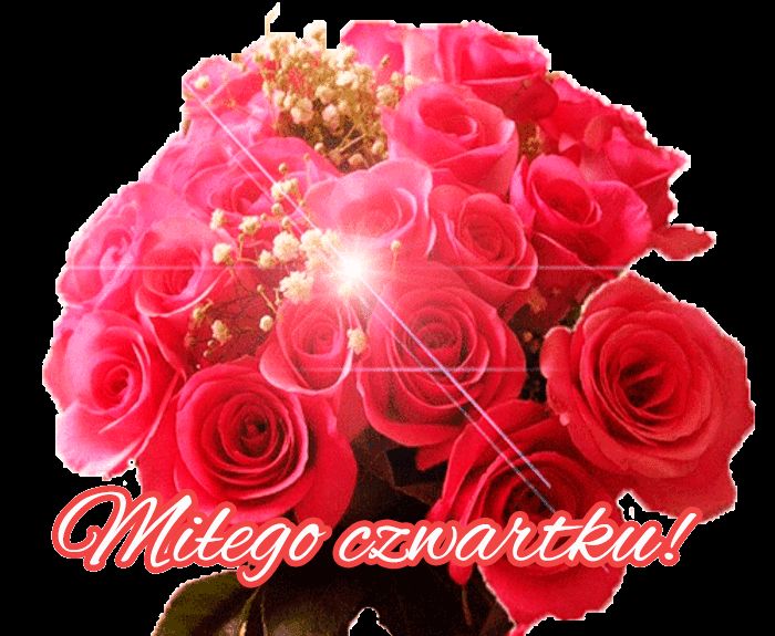 Bukiet różowych róż na czarnym tle